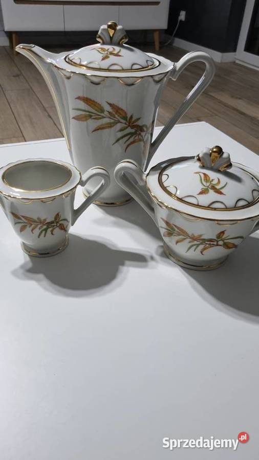 Serwis kawowy 10 osób Porcelana Francuska wielkopolskie Wola Podłężna sprzedam