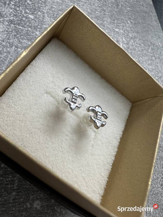 Srebrne kolczyki