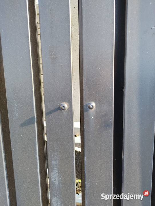 Brama promocja 160x300 Bledzew