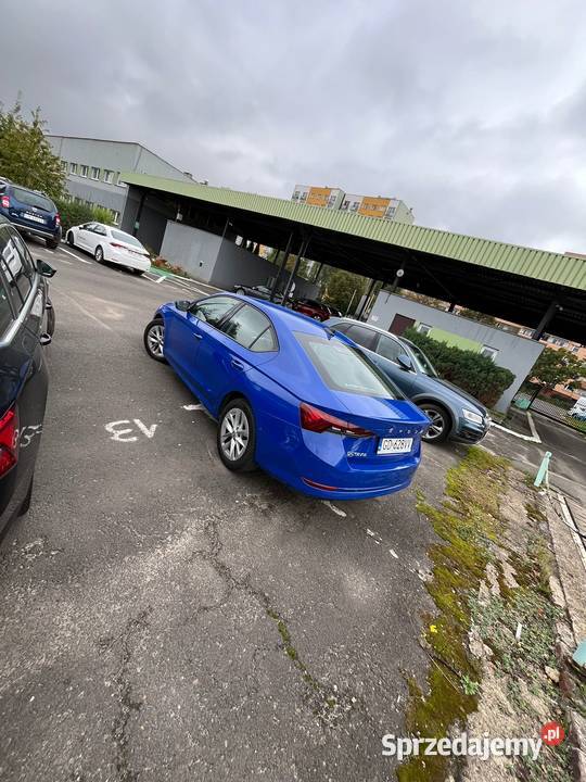 Skoda Octavia IV 20 TDI Ambition DSG Siemianowice Śląskie