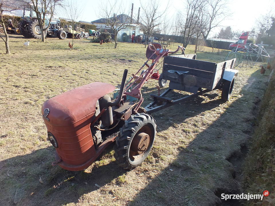 Dzik 221 nie Ursus C 308 Sprawny Osprzęt Kurier Golasowice