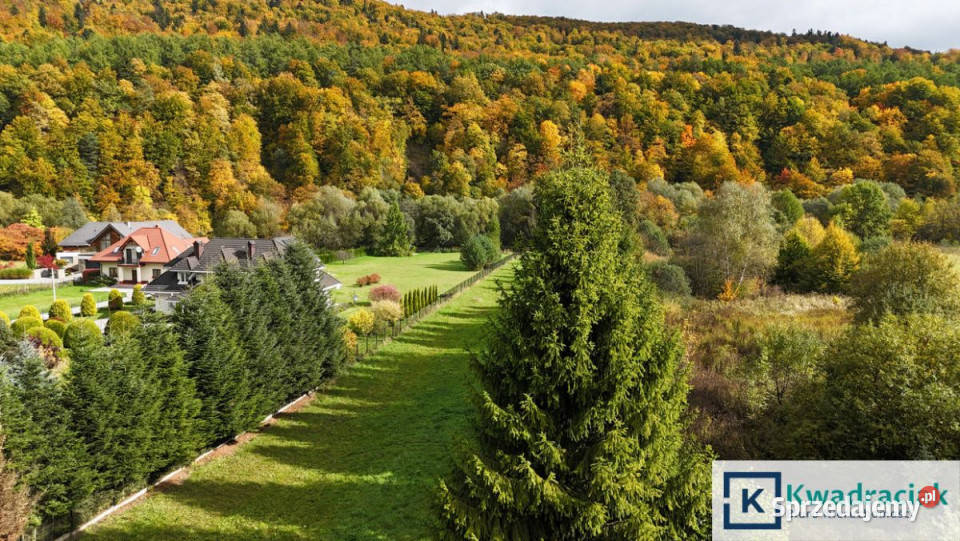 Działka Łączki 41000m2