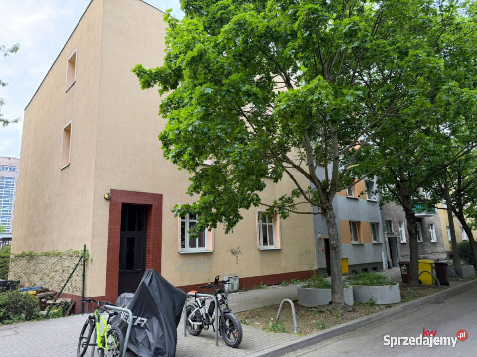 Mieszkanie 4391m2 3 pokoje Poznań