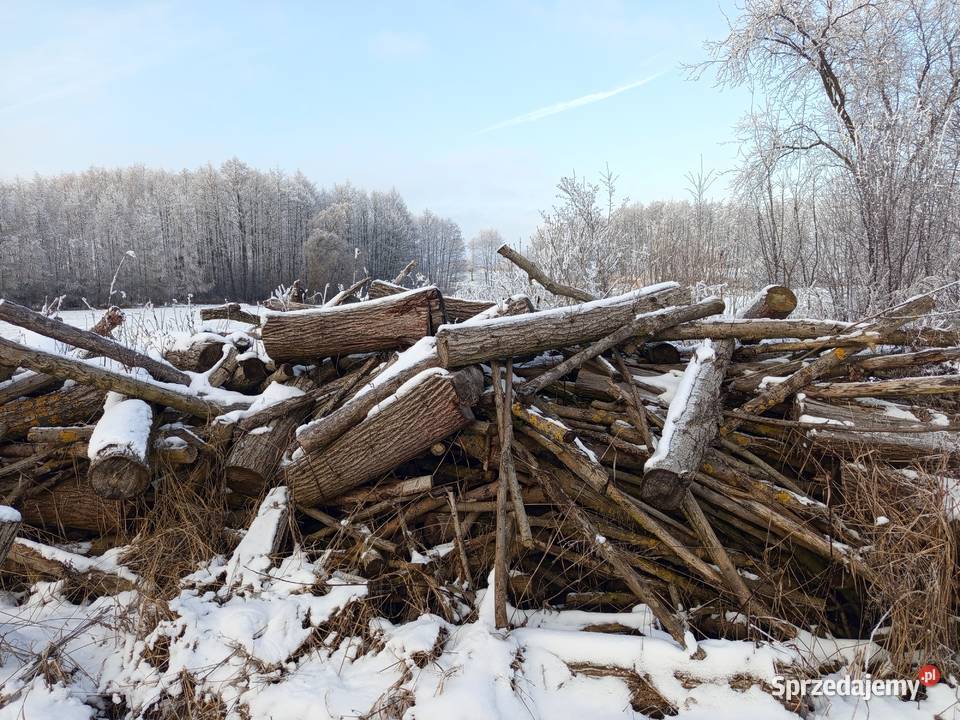Drzewo opałowe kujawsko-pomorskie Lubień Kujawski