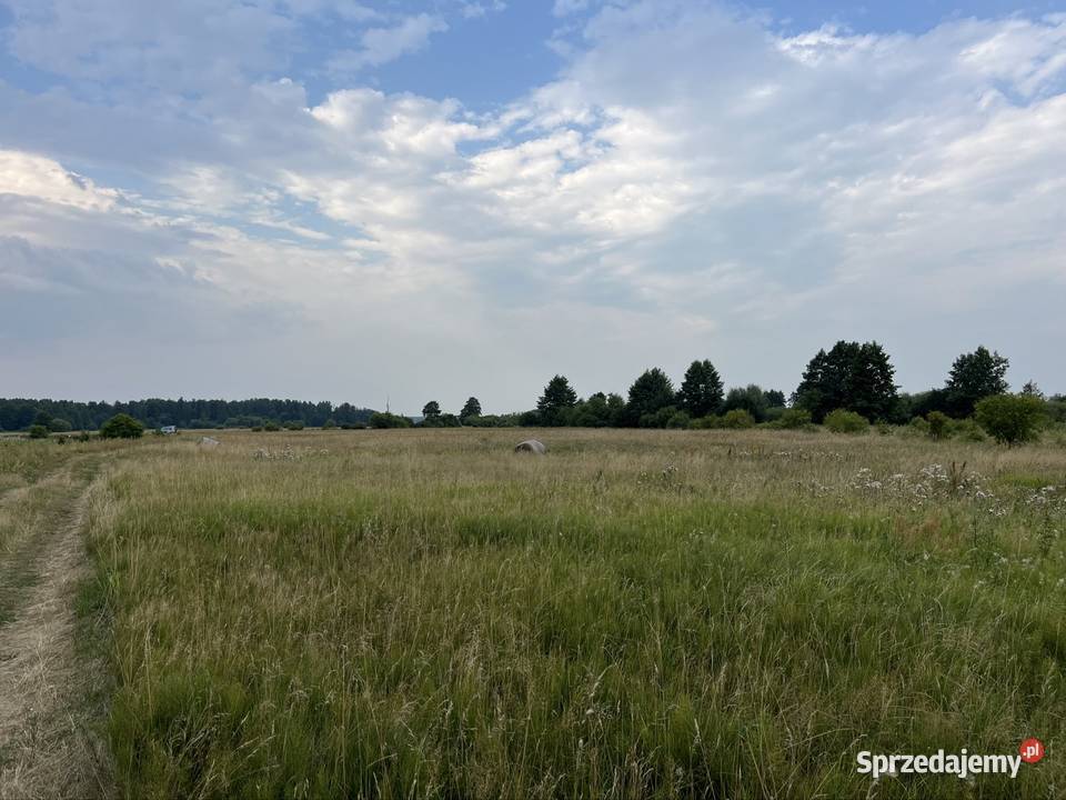 Sprzedam łąkę Liwcem w Jarnicach Jarnice