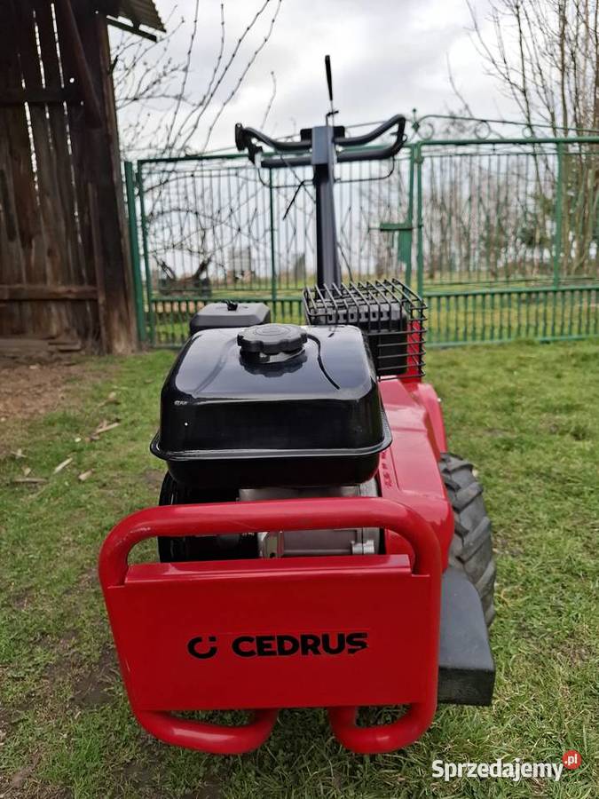 Glebogryzarka Cedrus GL03 PRO napęd na Kazimierza Wielka