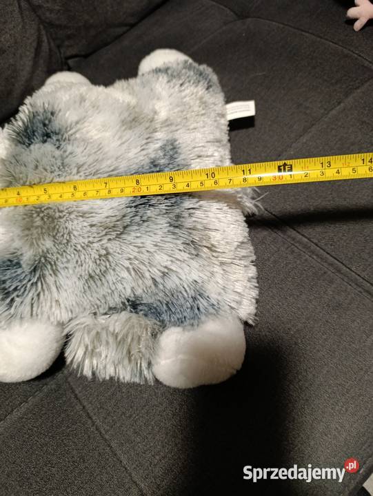 pluszowa poduszka w kształcie psa husky marki Poznań sprzedam