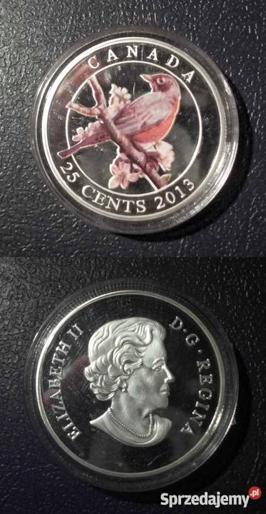 CANADA 25 centów 2013 DROZD małopolskie Kraków