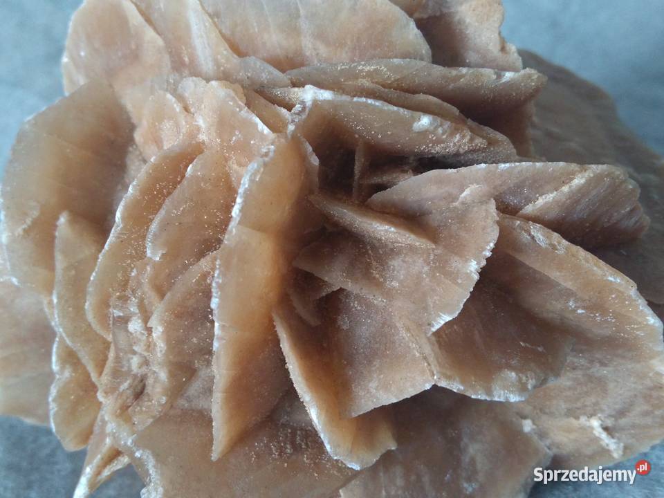 Róża Pustyni kamień ozdobny z Sahary 12 07 Warszawa