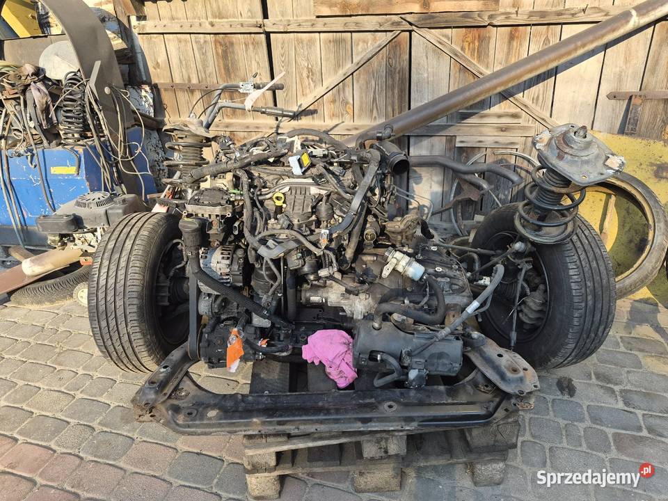 Scudo jumpy expert proace części Jarosław