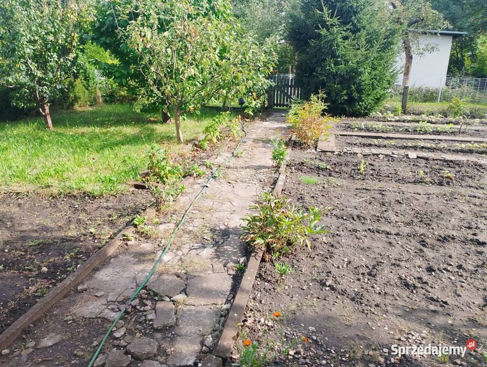 Sprzedam ogródek działkowy rod Plon Grunty i działki Wrocław