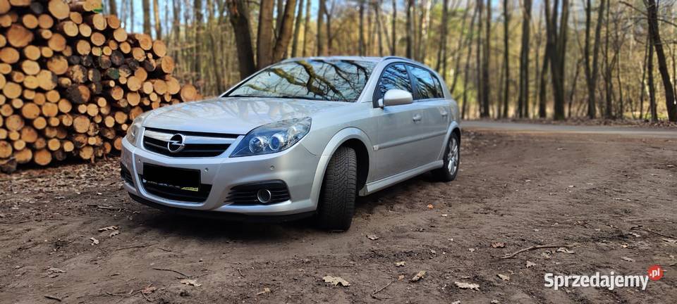 Opel Signum 18 LPG Katowice sprzedam