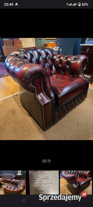 Chesterfield angielski Biała Podlaska