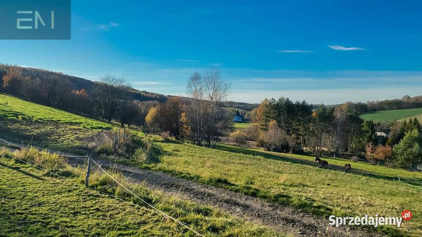 Do sprzedaży działka 1223 metry Nowa Wieś sprzedam