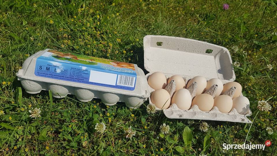 Wytłaczanki etykieta Zielononóżka Opakowania na sprzedam