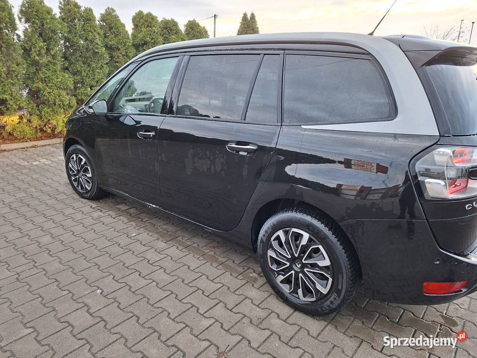 Zadbany nawigacja dolnośląskie Oława