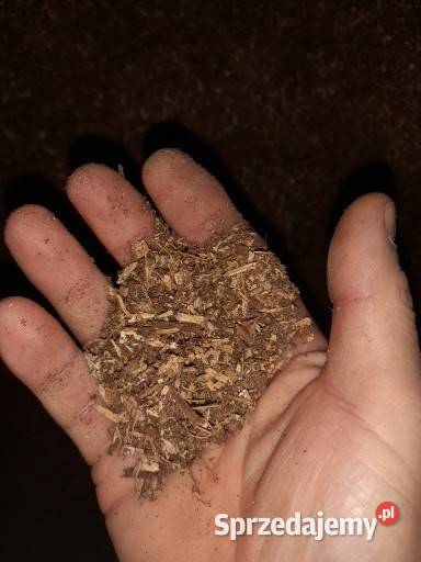 rębak do spalinowy do gałęzi nieuszkodzony śląskie Fugasówka sprzedam