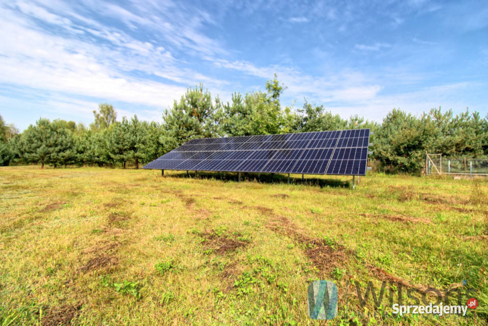 Dom wolnostojący Dziektarzewo 17743m2 Sprzedaż