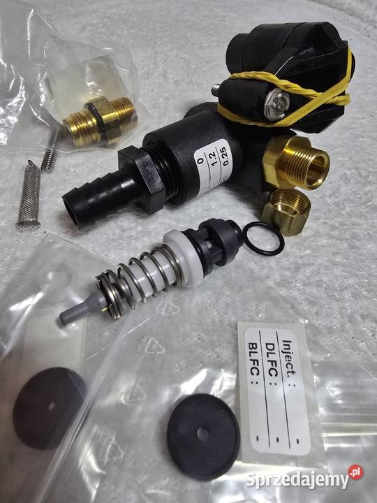 Zespół zaworu wtryskowego Fleck 46005600 Wrocław