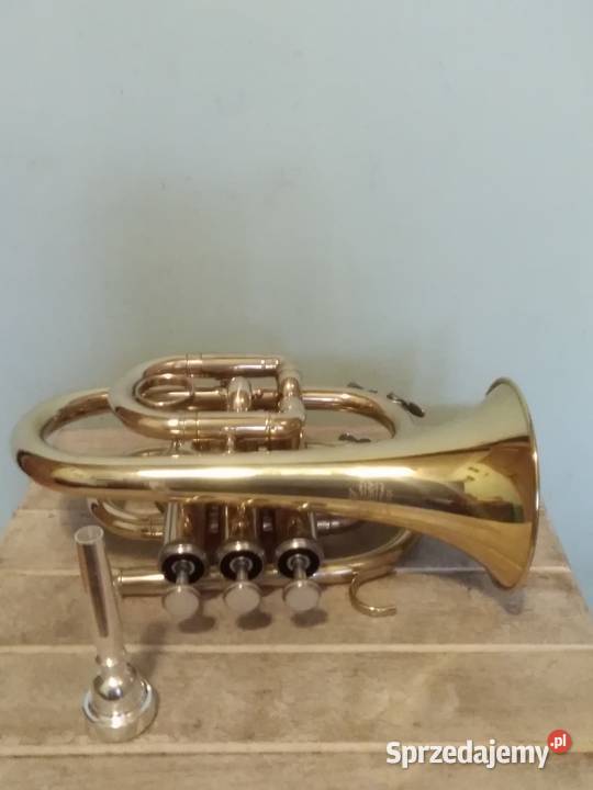 Trąbka kieszonkowa Kraków sprzedam