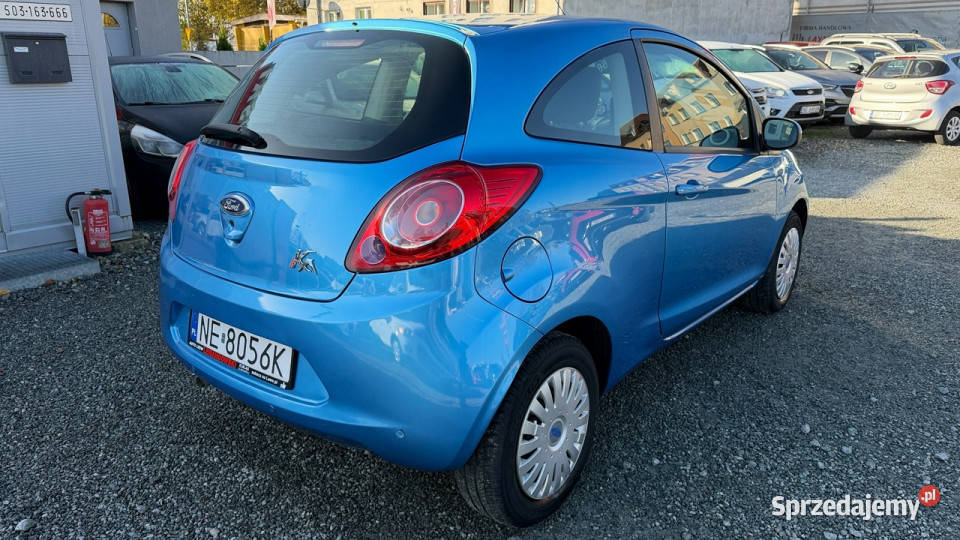 Ford KA Benzyna Salon Polska Zarejestrowany Zarejestrowany w Polsce Ford warmińsko-mazurskie Elbląg