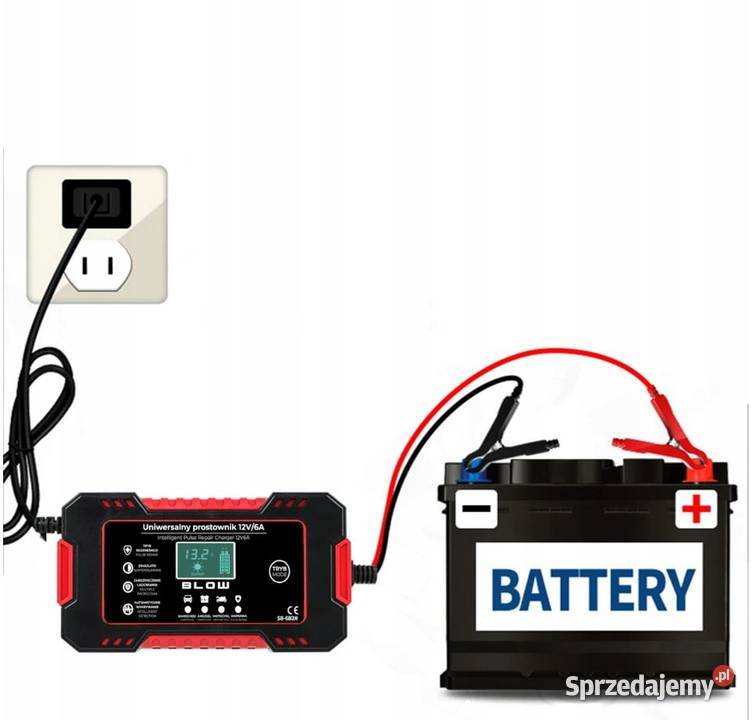 PROSTOWNIK Automatyczny Inteligentny Ładowarka