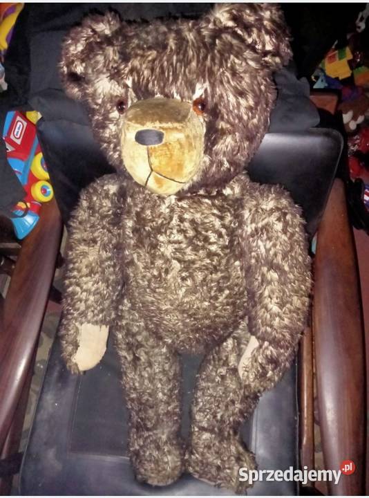 Stary Miś trociniak Teddy Bear Trawa morska Grójec