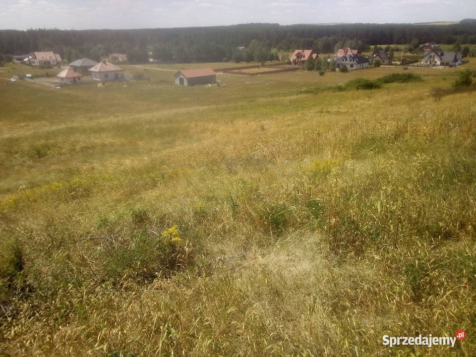 działki budowlane Morawica sprzedam