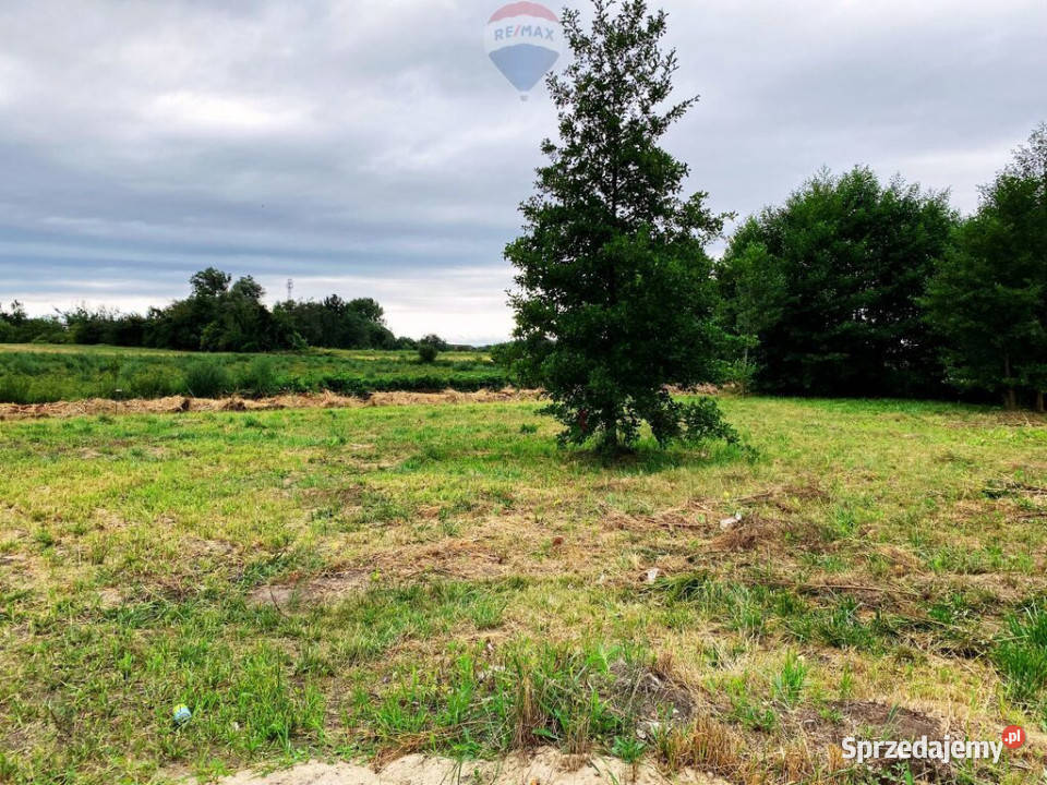 Działka budowlanoinwestycyjna Bieniewice