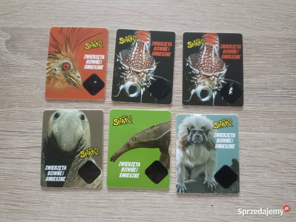 Karty Zwierzęta Dziwne i Śmieszne Mr Snaki Kwidzyn