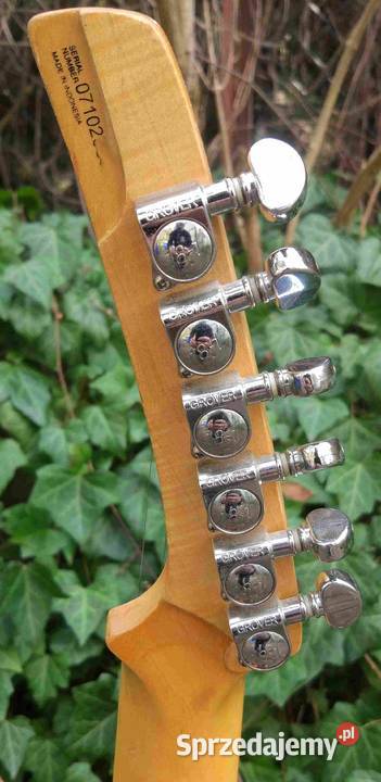 Gitara elektryczna Parker P30 łódzkie Tuszyn