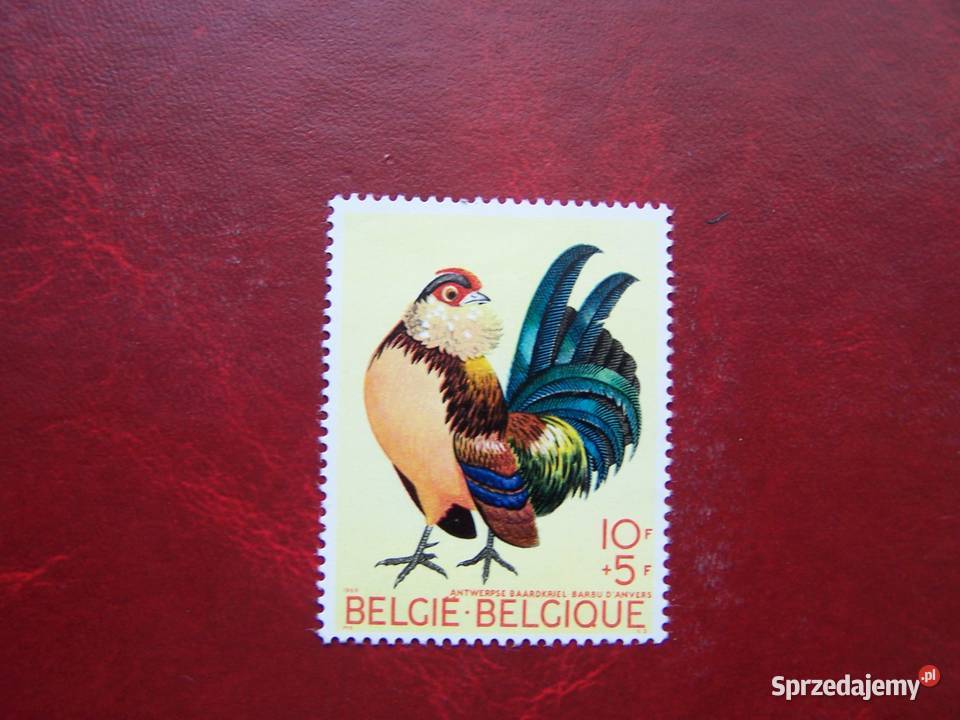 Belgia 1969 MNH Mi 1572 Fauna Ptaki Kogut Tychy