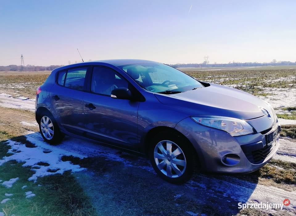 Renault Megane 16 benzyna Hatchback Lgota Wielka
