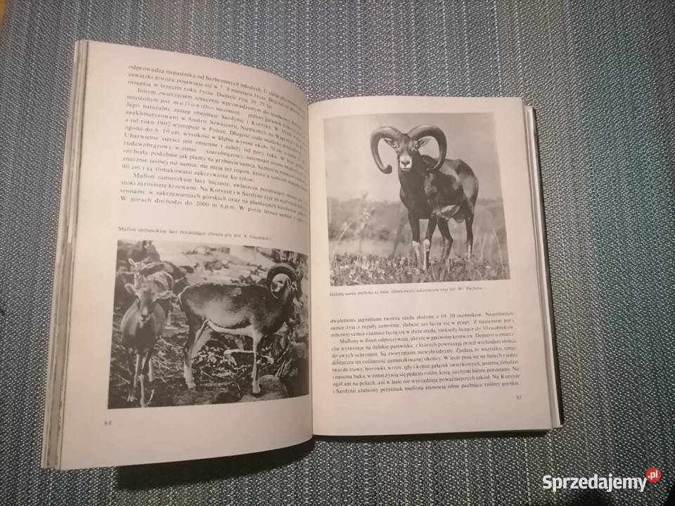 Ssaki Zwierzęta Świata 1988