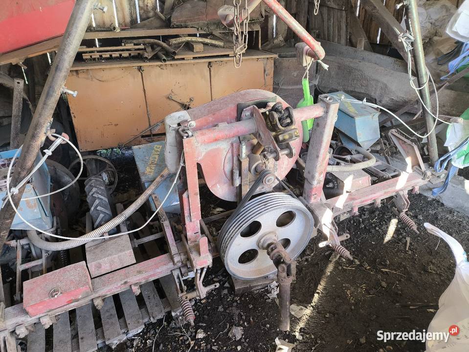 Siewnik do kukurydzy hassia 4 rzędy Pińczów