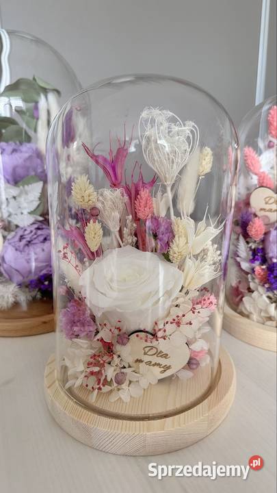 Kopuły szklane Pozostałe Zebrzydowice