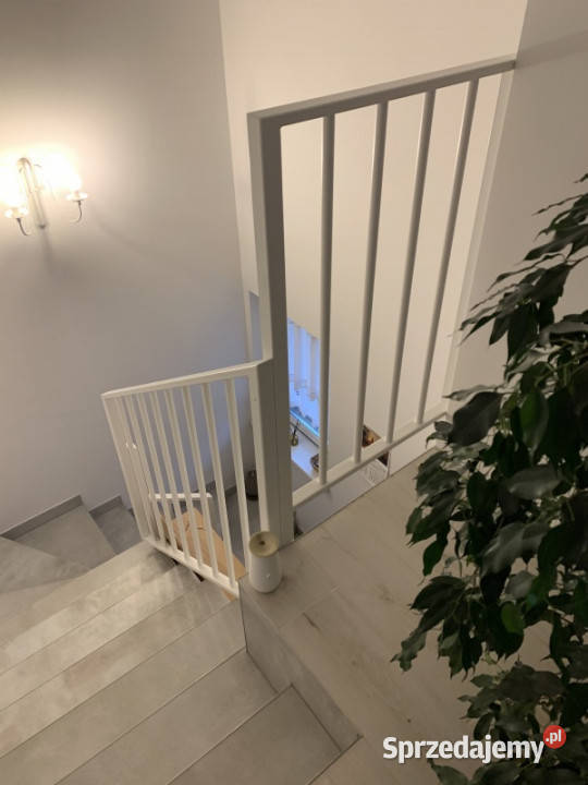 Mieszkanie z pięknym ogrodem cztery pokoje Dębogórze