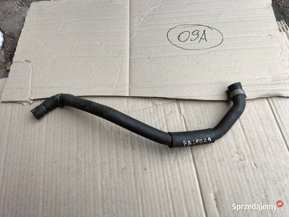 NISSAN PRIMERA P12 PRZEWÓD WĄŻ RURA lubelskie Kamień-Kolonia
