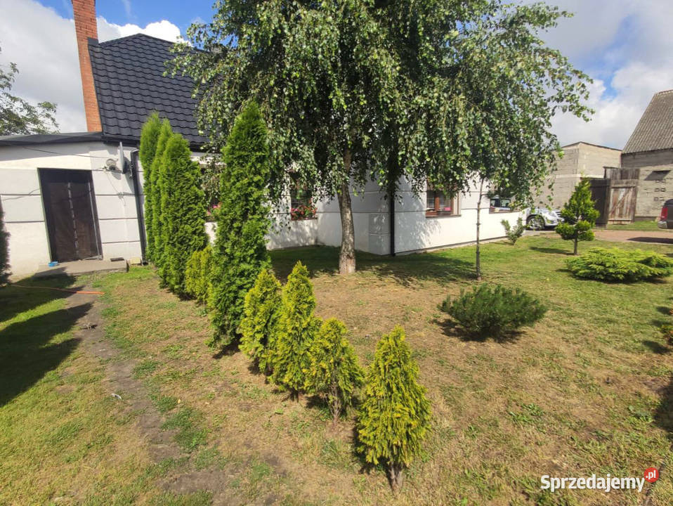 Syndyk sprzeda nieruchomość zabudowaną Nowa Wieś