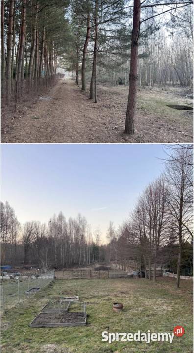 Syndyk sprzeda udział 12 w działkach Blachownia