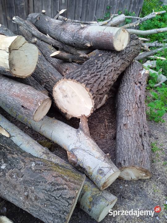 Sprzedam drewno Wygnanów
