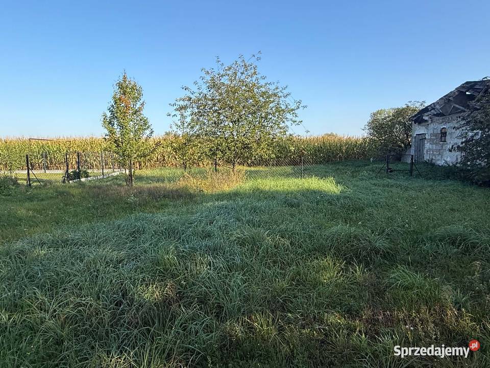 Dom z działkami na sprzedaż Sprzedaż mazowieckie