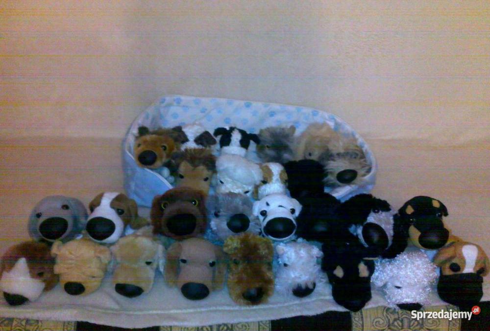 kolekcja THE DOG Poznań