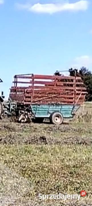 Samozbierająca steyr 12 Lipnica Wielka