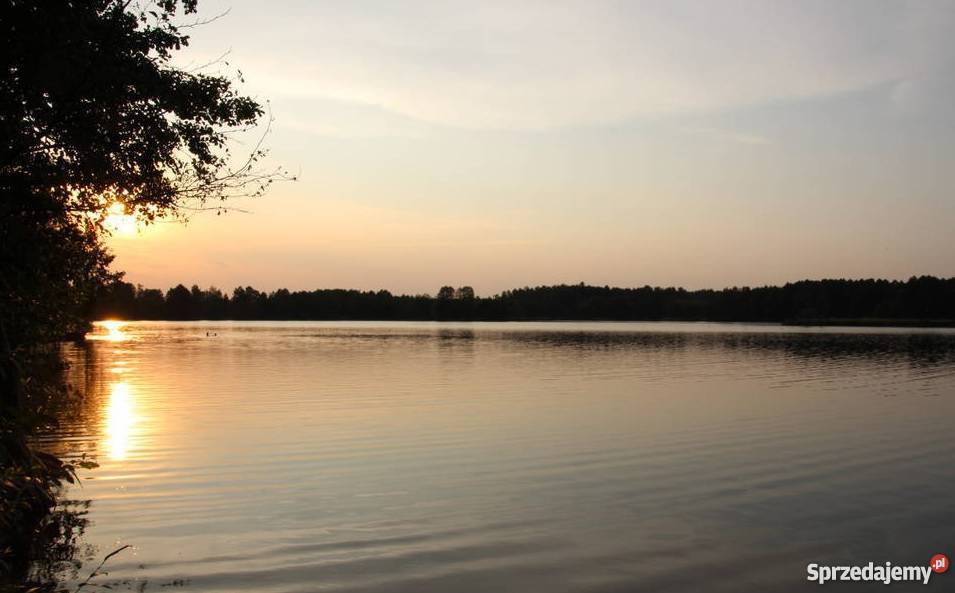 Działka budowlana w pobliżu jeziora Grunty i działki Skoki Małe
