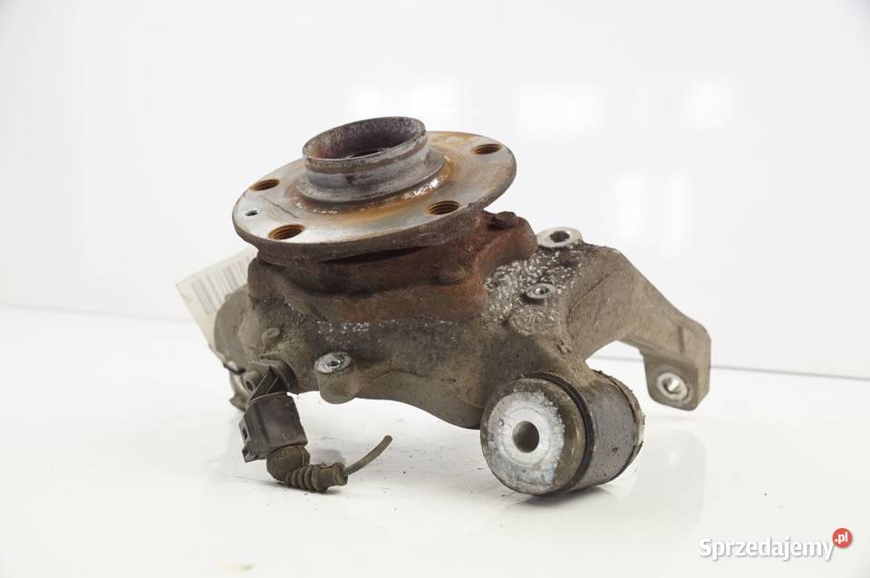 PHAETON PIASTA LEWA TYŁ Lipno