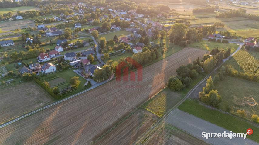 Działka 1000m Brzezówka Sprzedaż