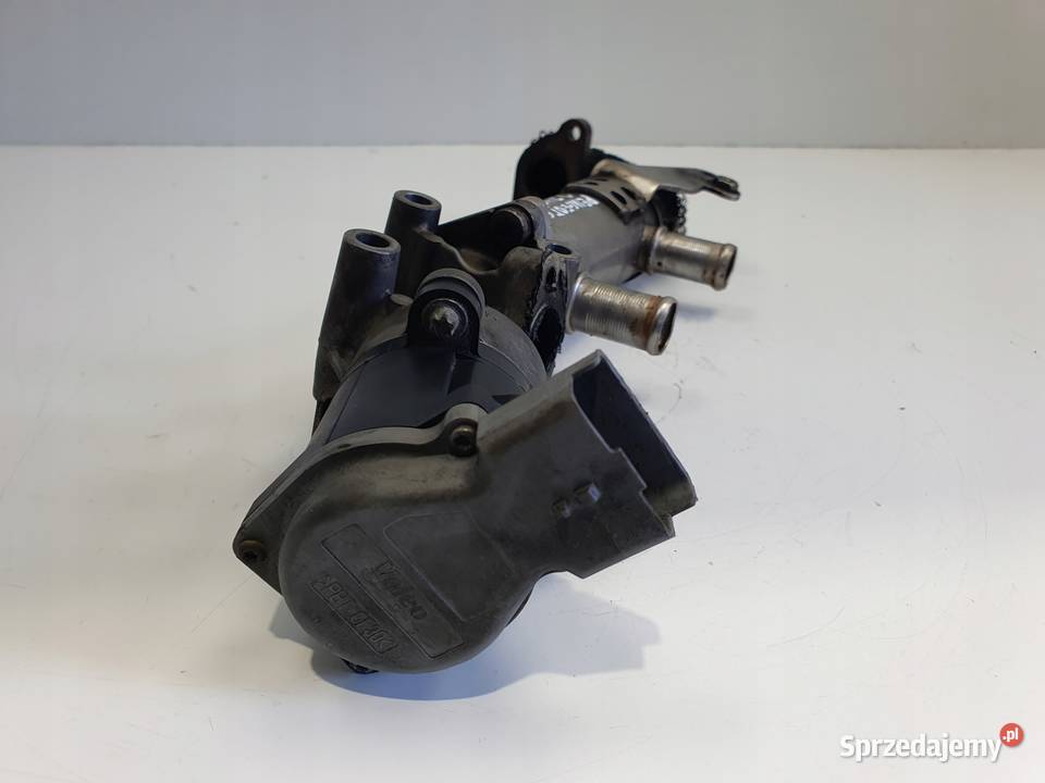 Peugeot 607 27 HDI ZAWÓR ERG chłodnica spalin Rudka sprzedam