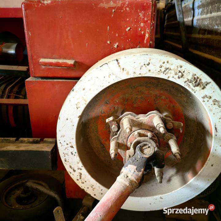 Ciukarka Simba z224 Mińce