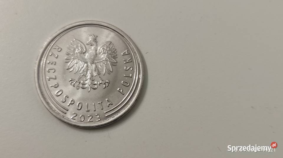 1 2023 stan menniczy Koronowo